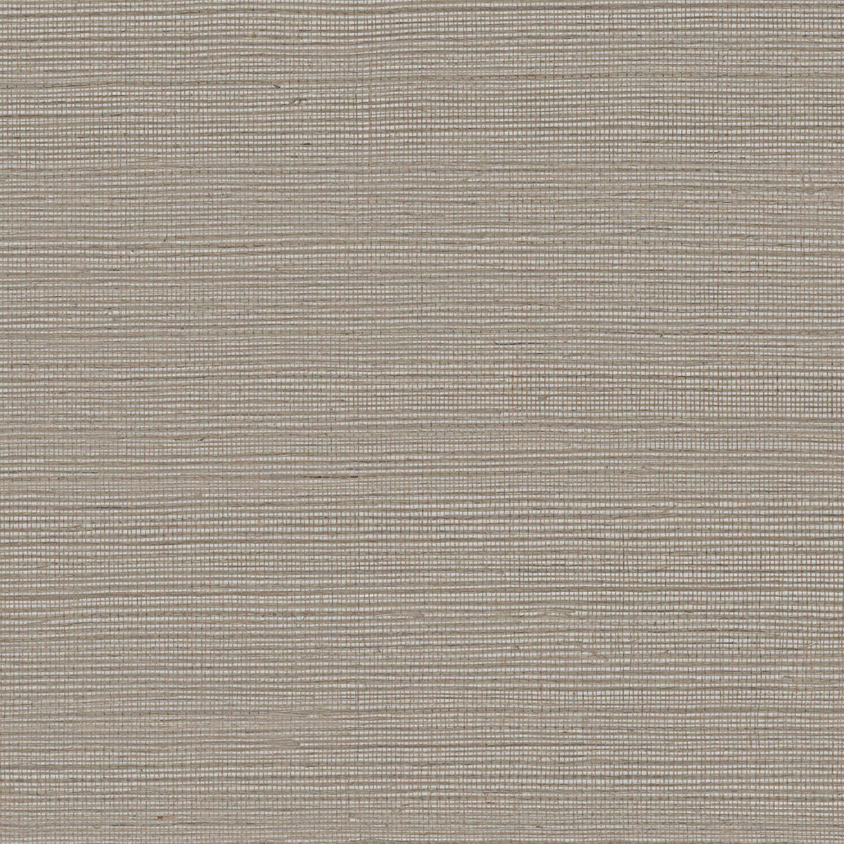MAGUEY SISAL - Grasscloth And Naturals - Gv0137nw