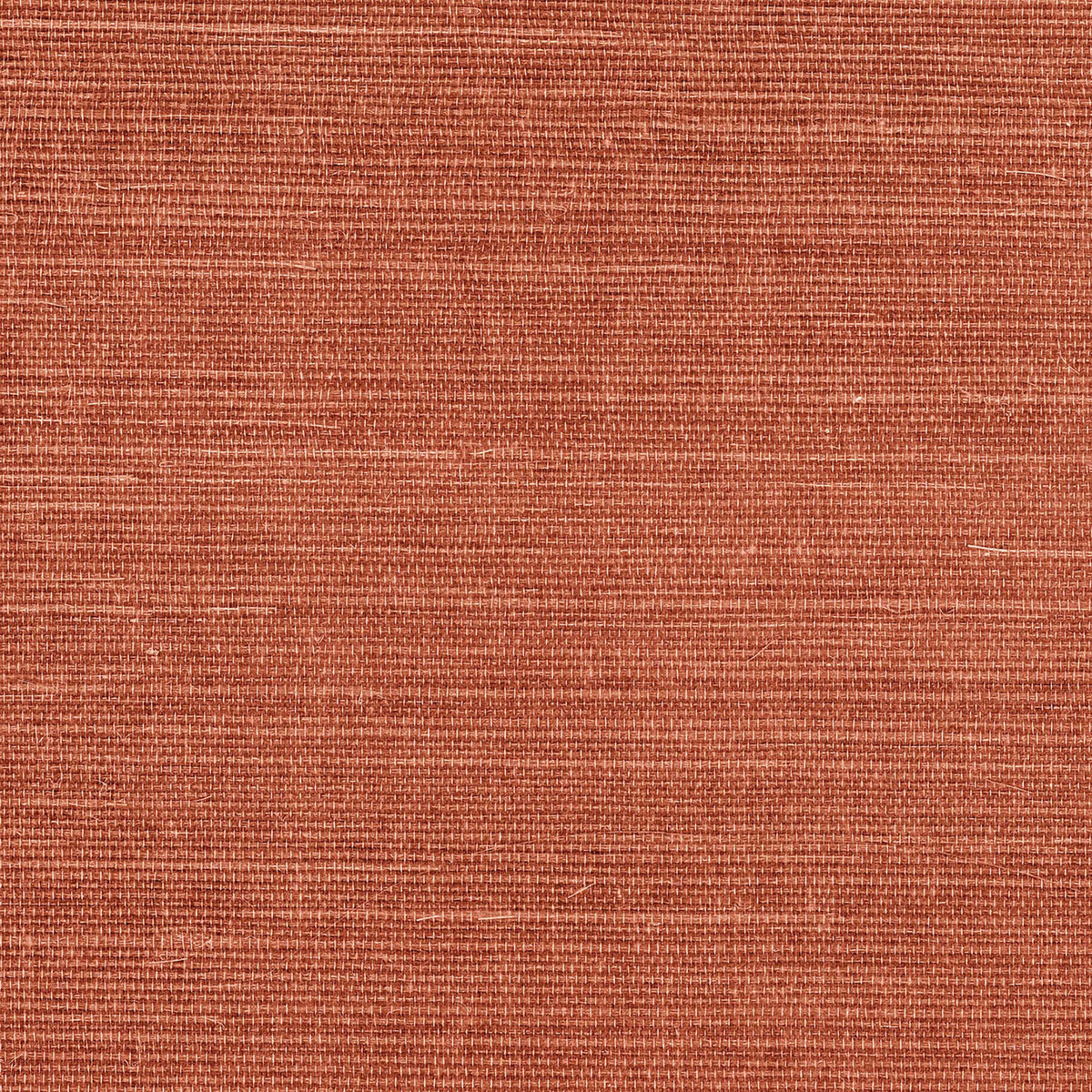 MAGUEY SISAL - Grasscloth And Naturals - Gv0139nw