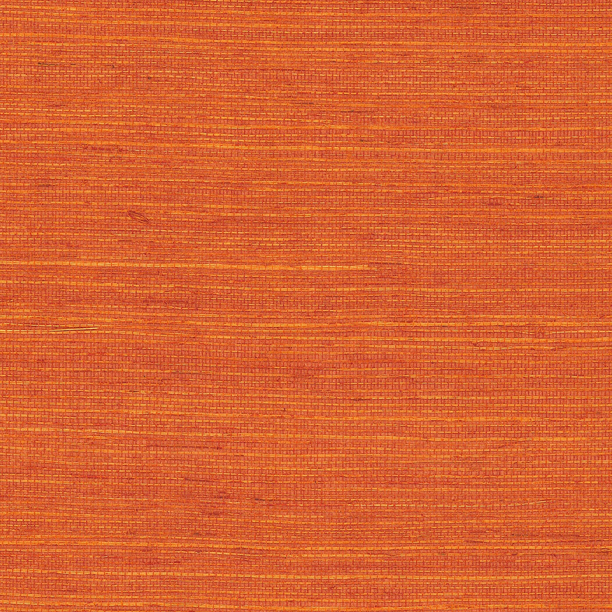 MAGUEY SISAL - Grasscloth And Naturals - Gv0140nw