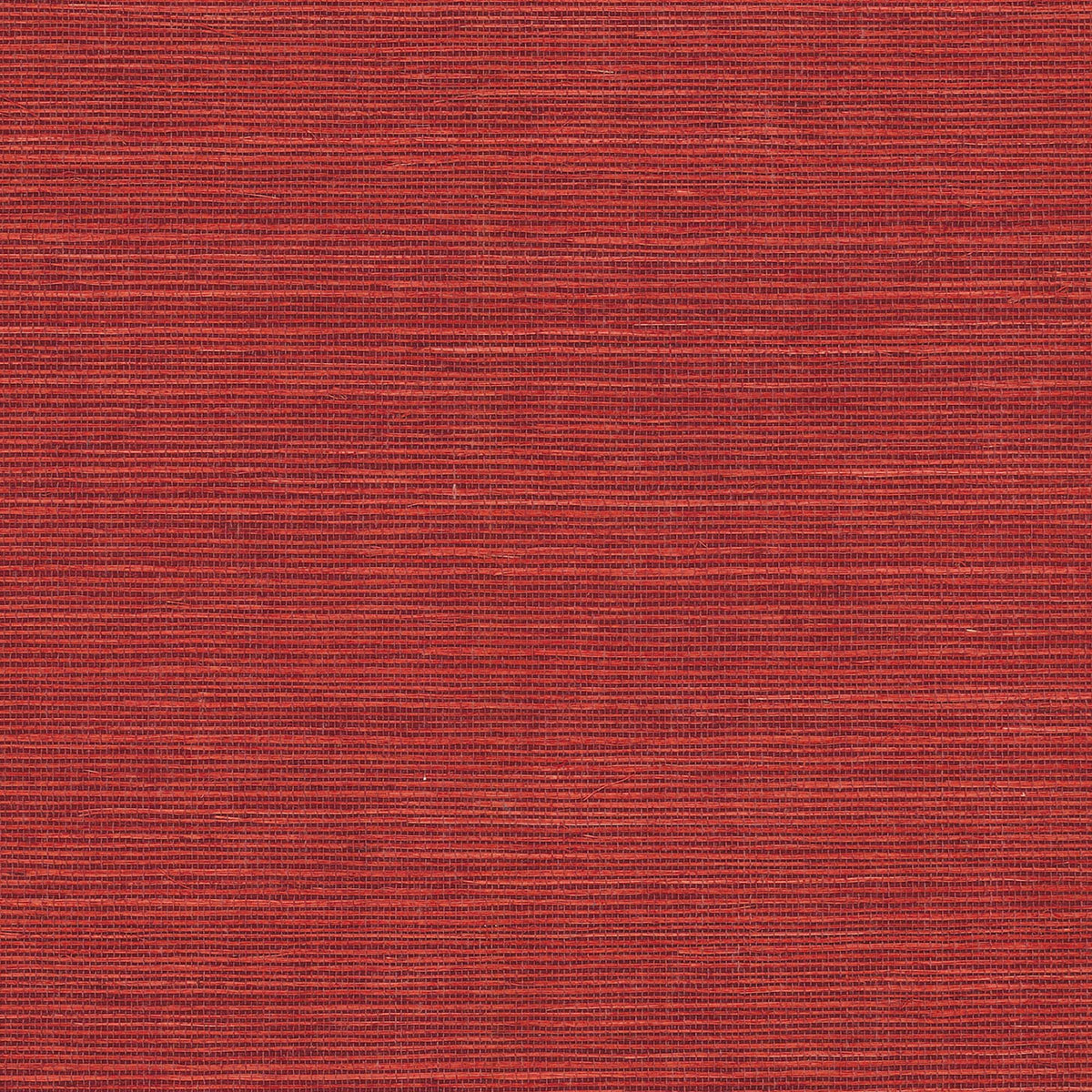 MAGUEY SISAL - Grasscloth And Naturals - Gv0141nw