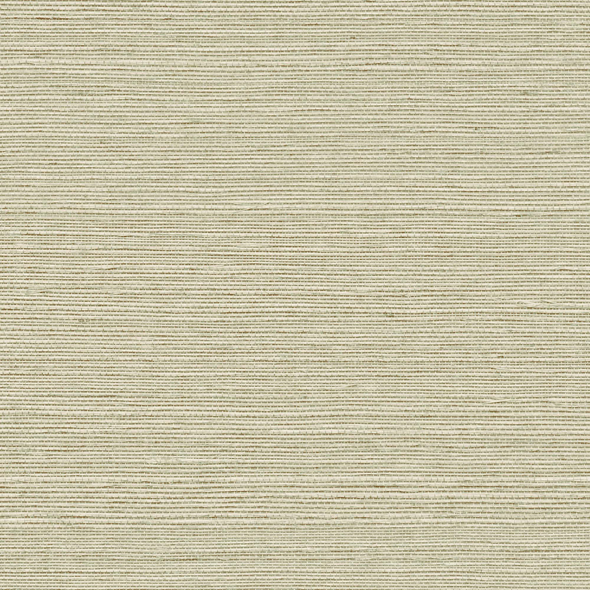 MAGUEY SISAL - Grasscloth And Naturals - Gv0143nw