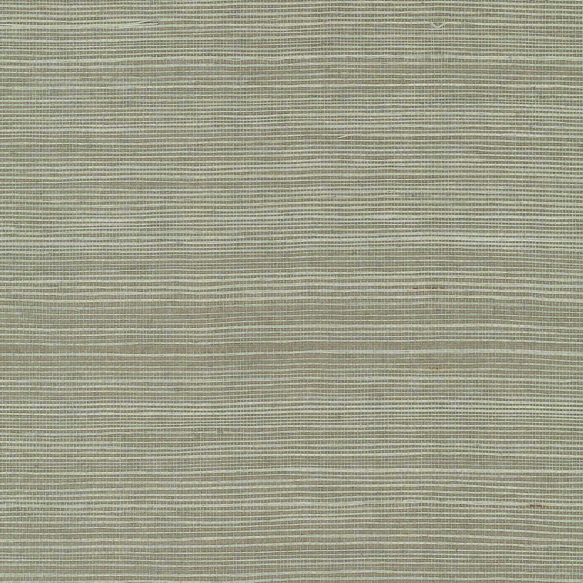 MAGUEY SISAL - Grasscloth And Naturals - Gv0144nw