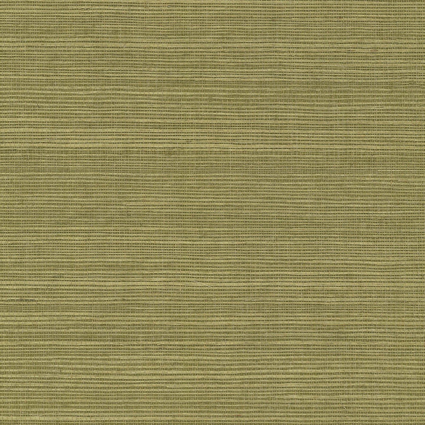 GV0145NW - Grasscloth And Natural Resource Maguey Sisal