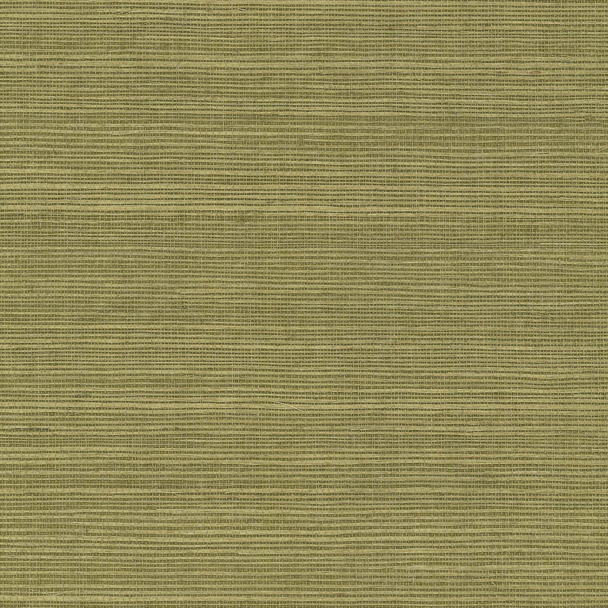 MAGUEY SISAL - Grasscloth And Naturals - Gv0145nw