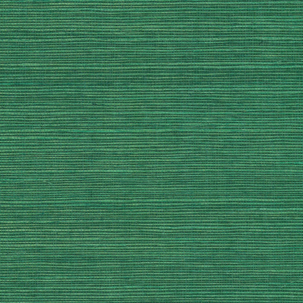 MAGUEY SISAL - Grasscloth And Naturals - Gv0147nw