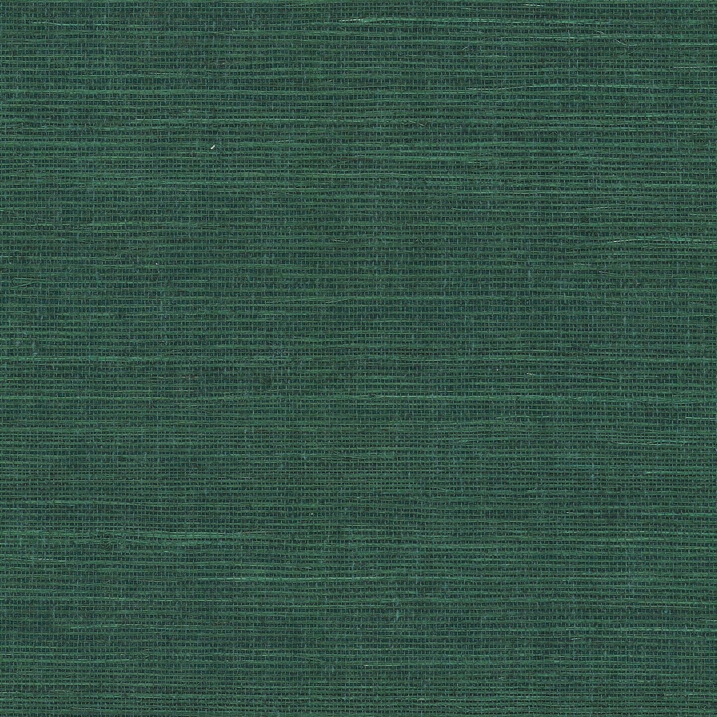 GV0148NW - Grasscloth And Natural Resource Maguey Sisal