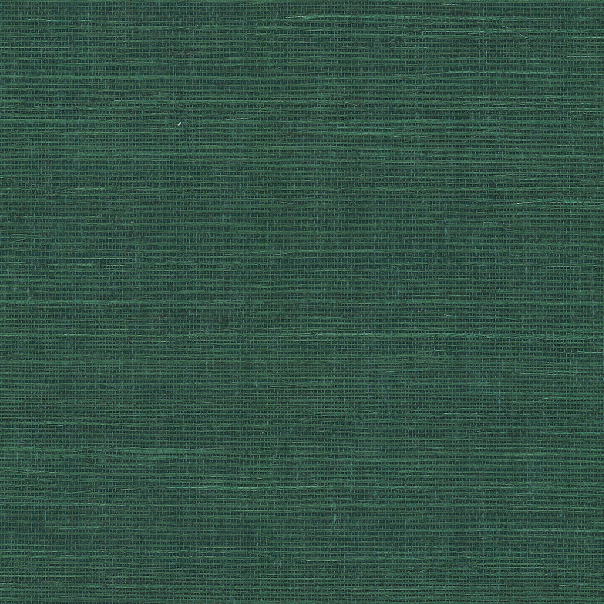 MAGUEY SISAL - Grasscloth And Naturals - Gv0148nw