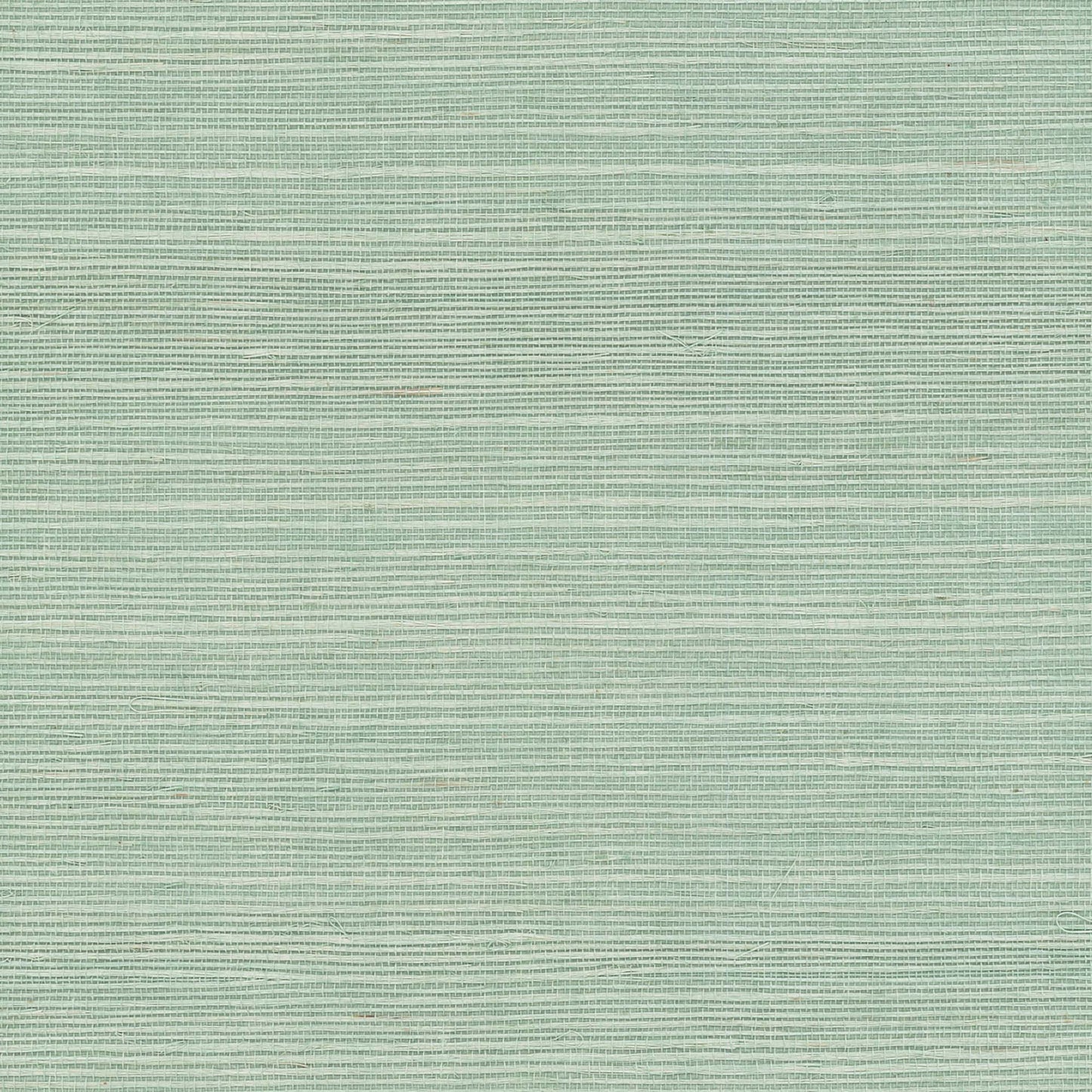 GV0150NW - Grasscloth And Natural Resource Maguey Sisal