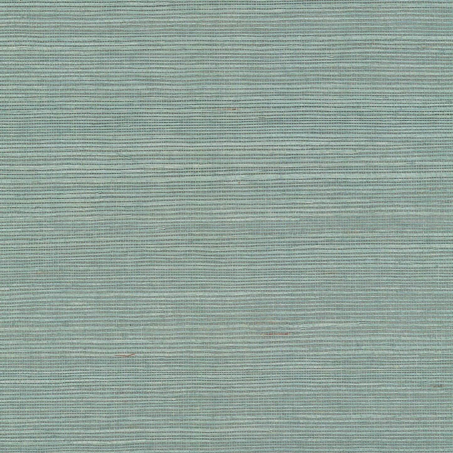 GV0152NW - Grasscloth And Natural Resource Maguey Sisal