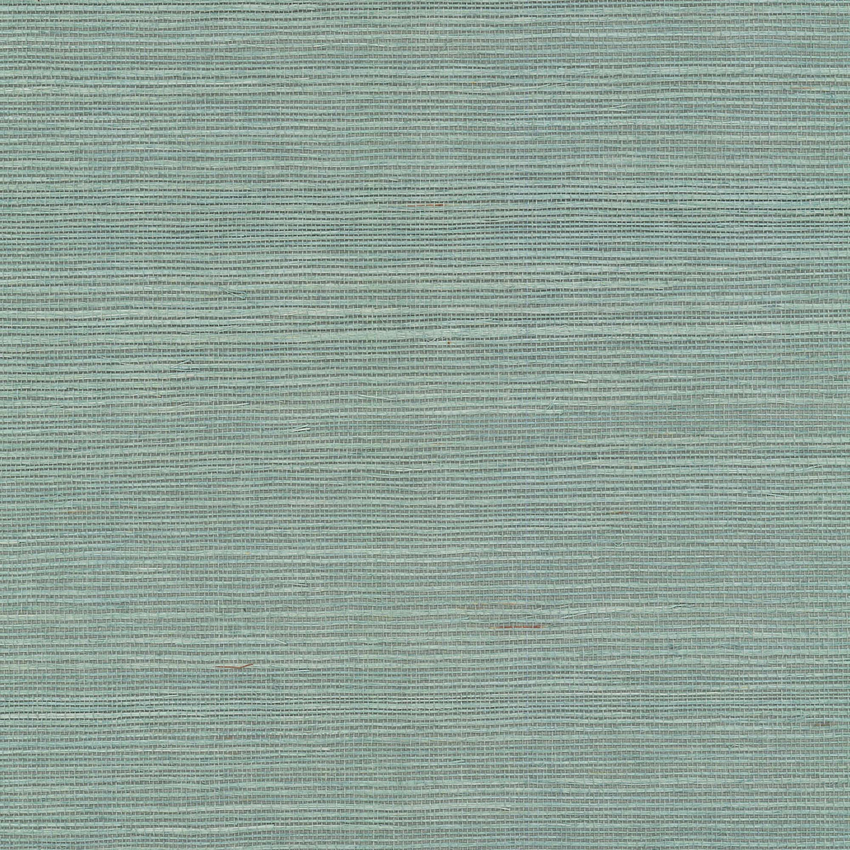MAGUEY SISAL - Grasscloth And Naturals - Gv0152nw