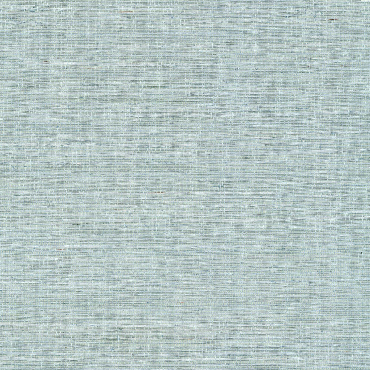 MAGUEY SISAL - Grasscloth And Naturals - Gv0157nw