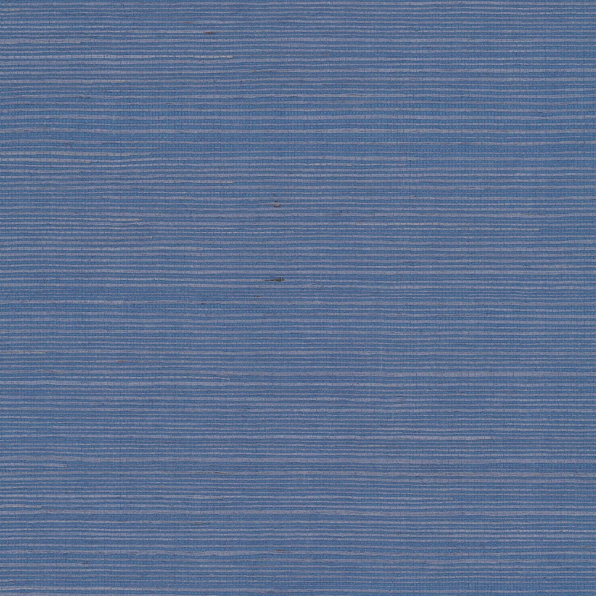 MAGUEY SISAL - Grasscloth And Naturals - Gv0161nw