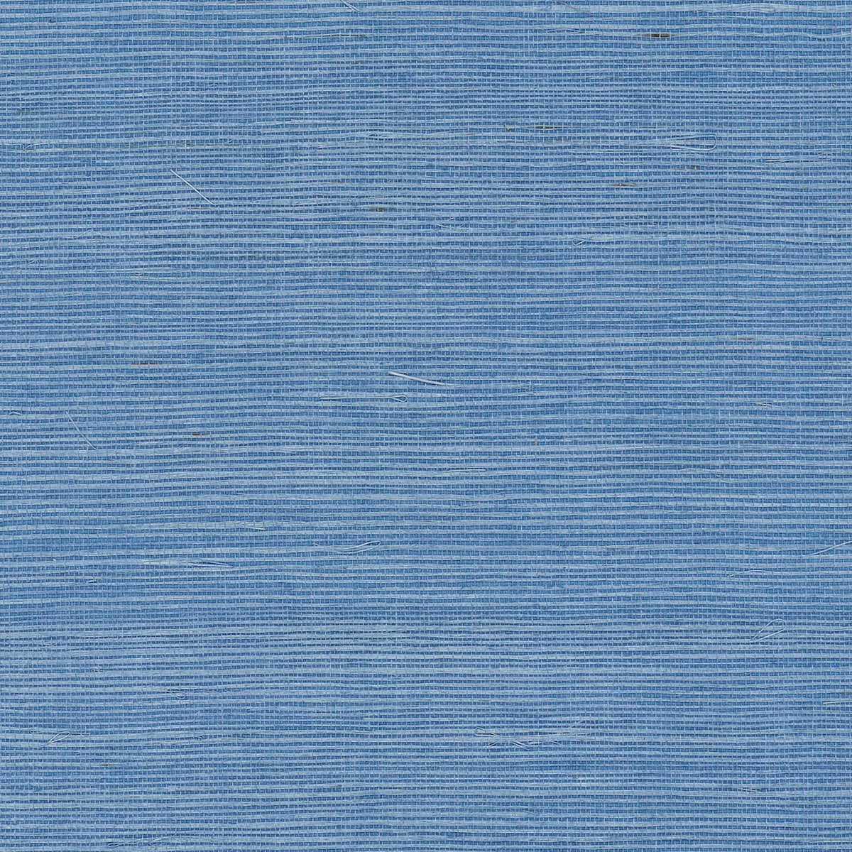 MAGUEY SISAL - Grasscloth And Naturals - Gv0162nw