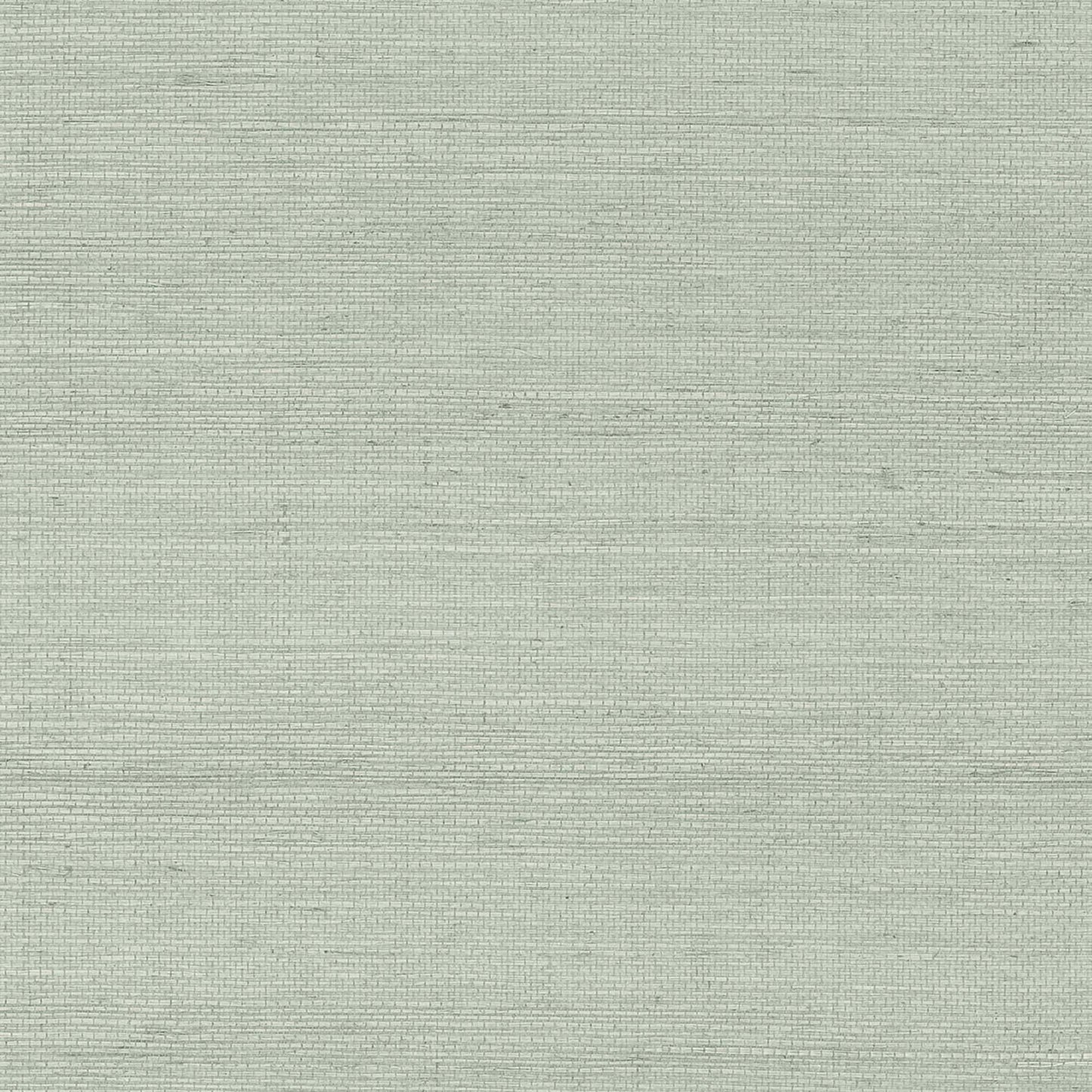 GV0167NW - Grasscloth And Natural Resource Maguey Sisal