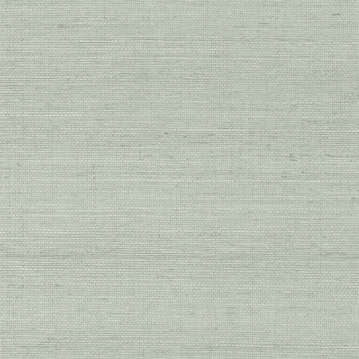 MAGUEY SISAL - Grasscloth And Naturals - Gv0167nw