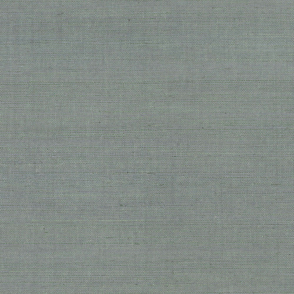 MAGUEY SISAL - Grasscloth And Naturals - Gv0169nw