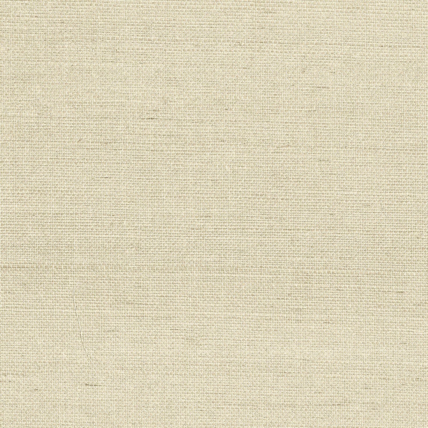 GV0173NW - Grasscloth And Natural Resource Maguey Sisal
