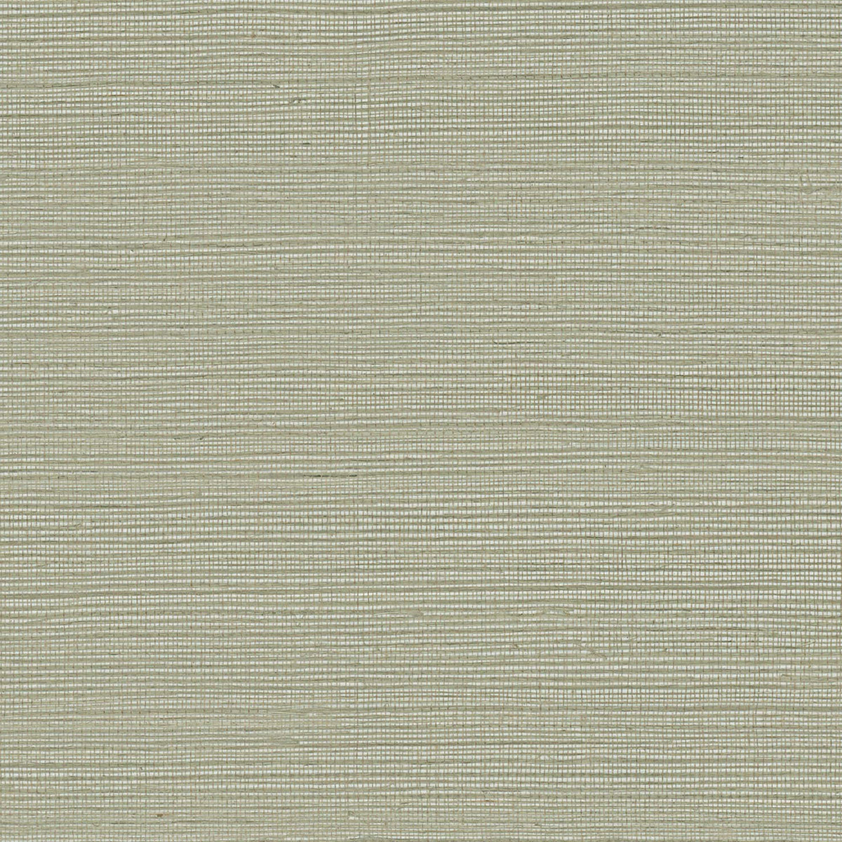 MAGUEY SISAL - Grasscloth And Naturals - Gv0175nw