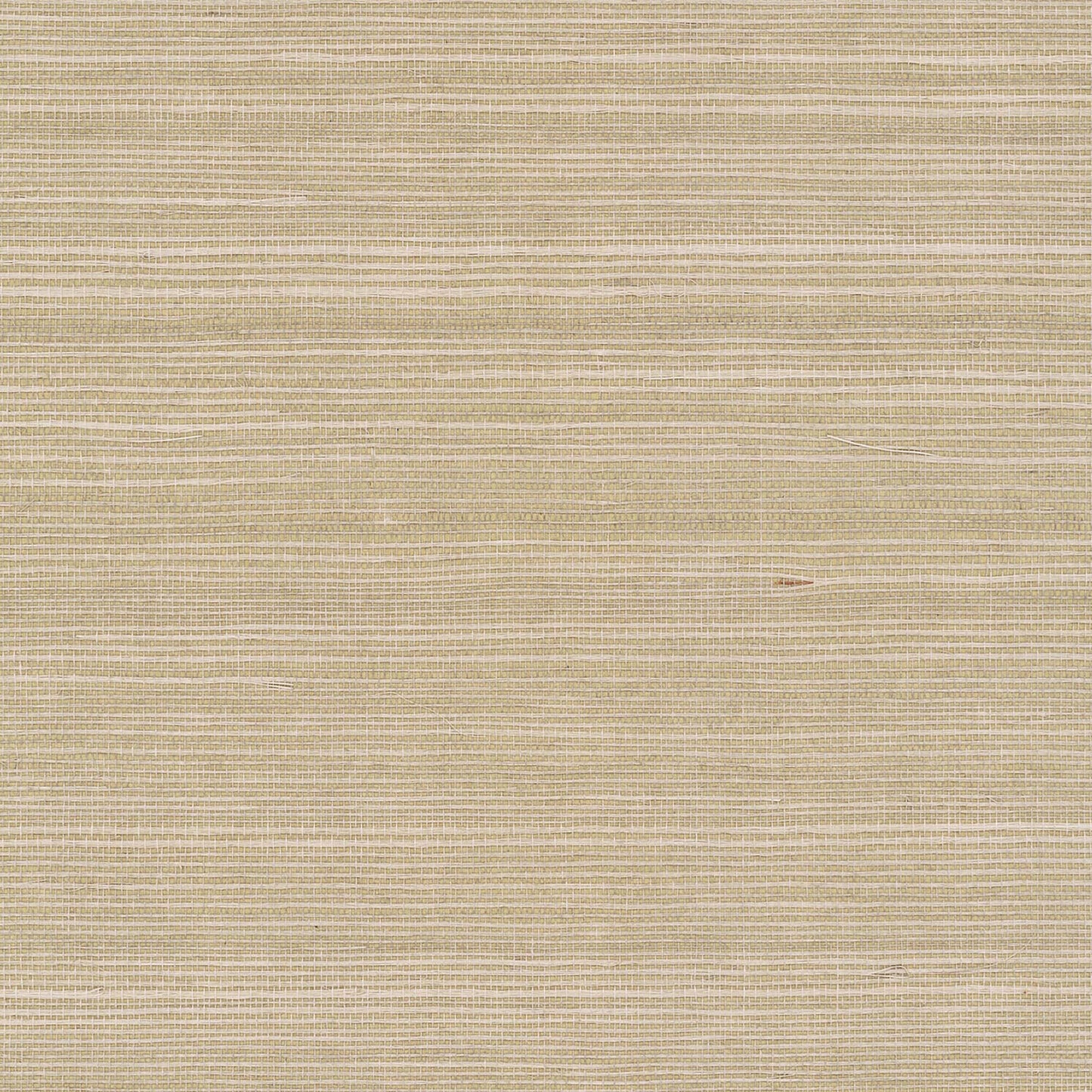 GV0176NW - Grasscloth And Natural Resource Maguey Sisal