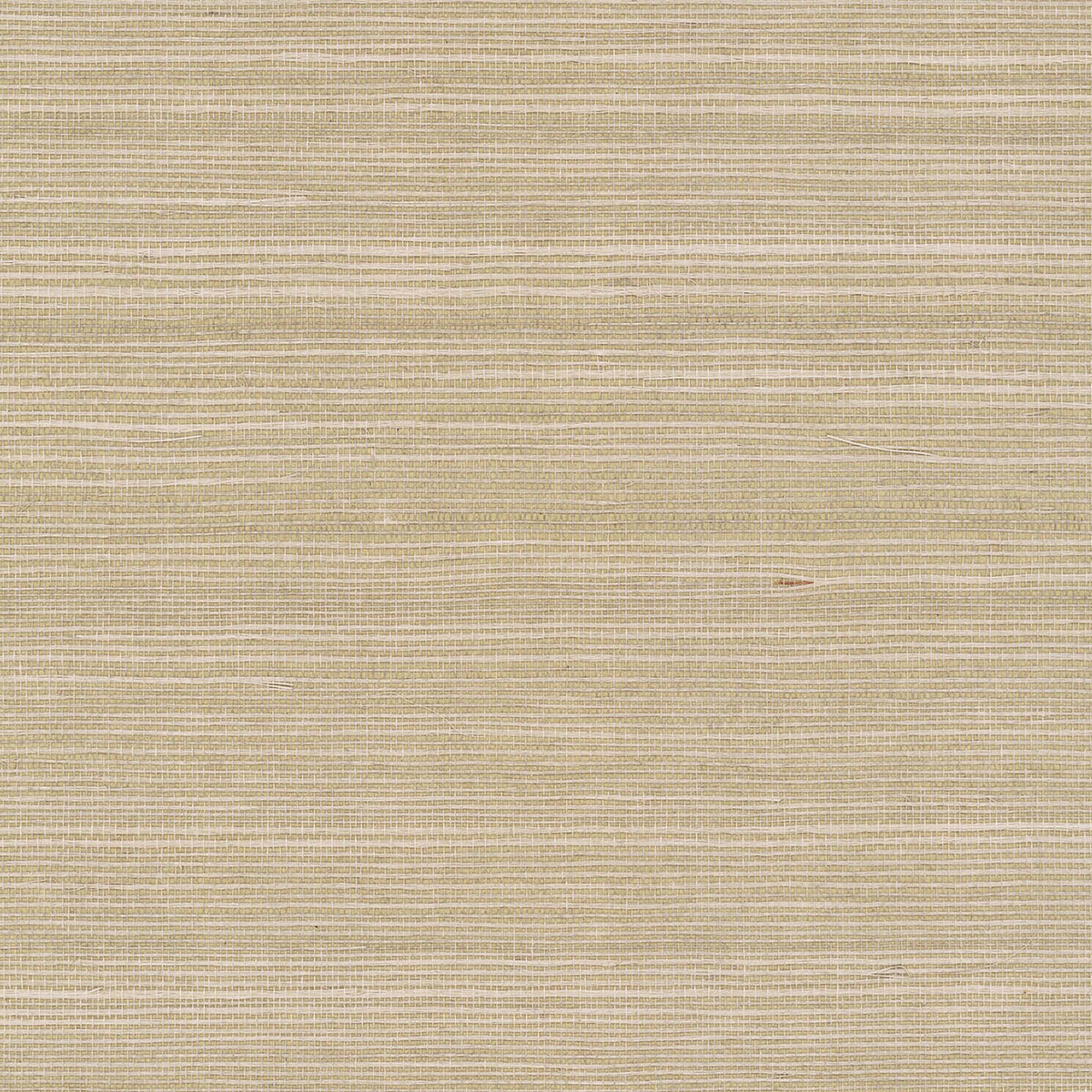 MAGUEY SISAL - Grasscloth And Naturals - Gv0176nw