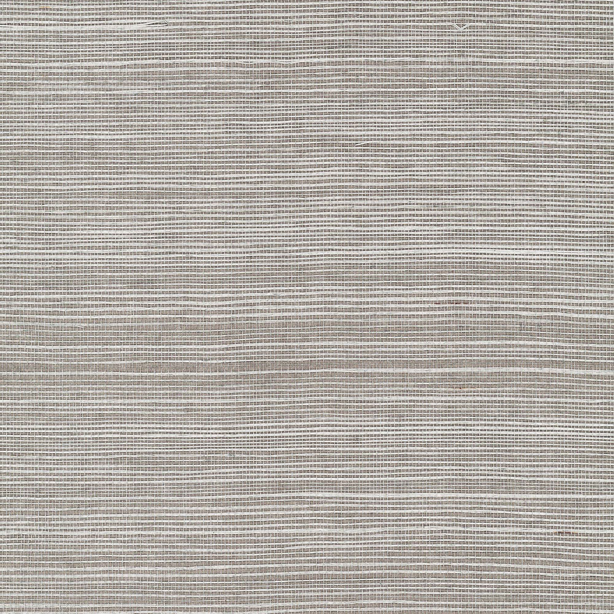 MAGUEY SISAL - Grasscloth And Naturals - Gv0179nw