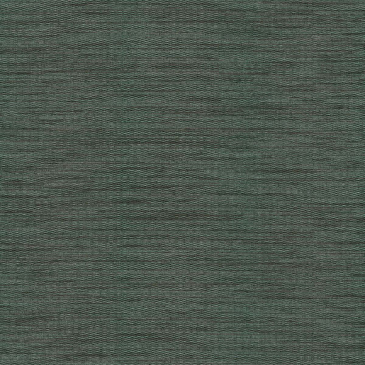 HORIZON PAPERWEAVE - Grasscloth And Naturals - Gv0222