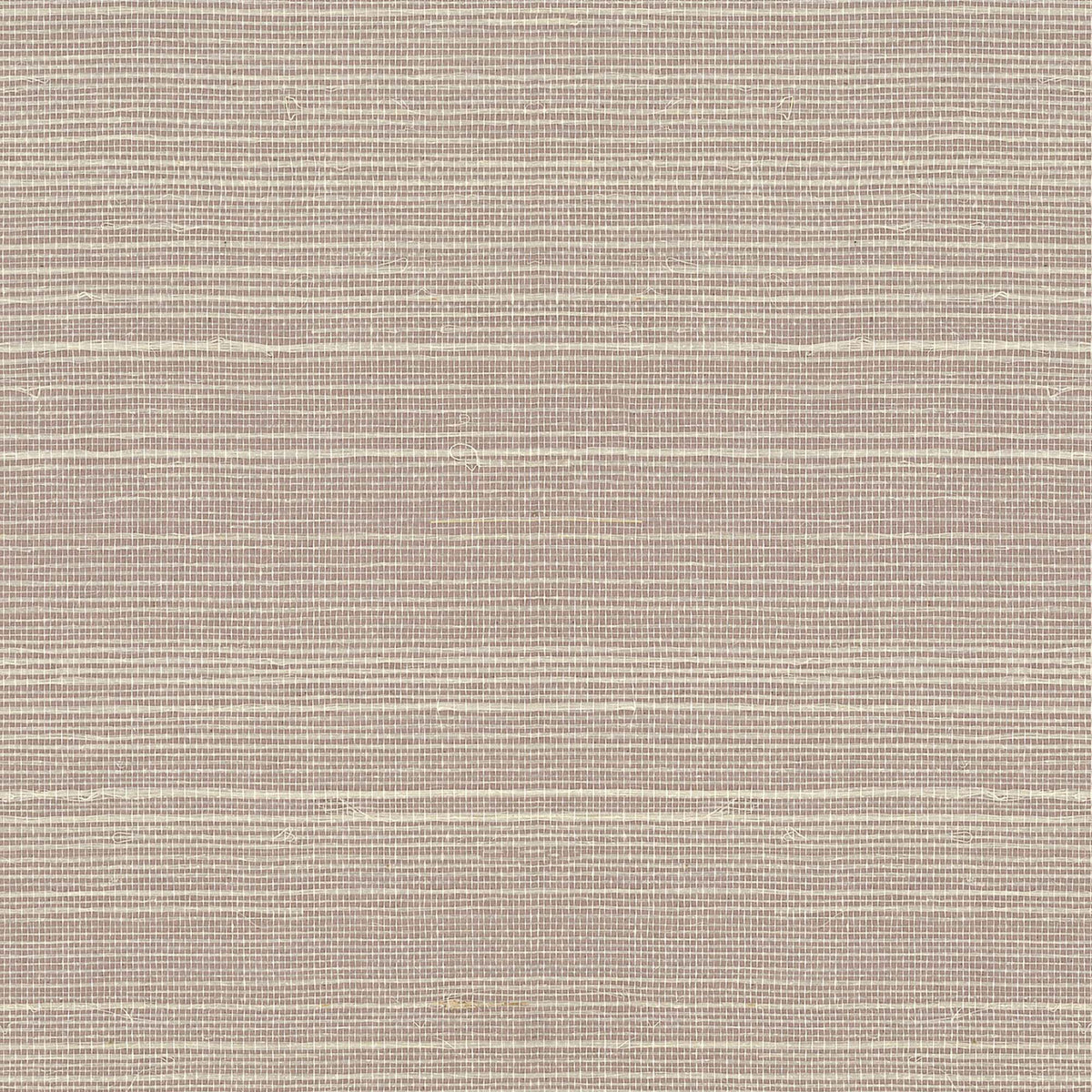 MAGUEY SISAL - Grasscloth And Naturals - Vg4406nw