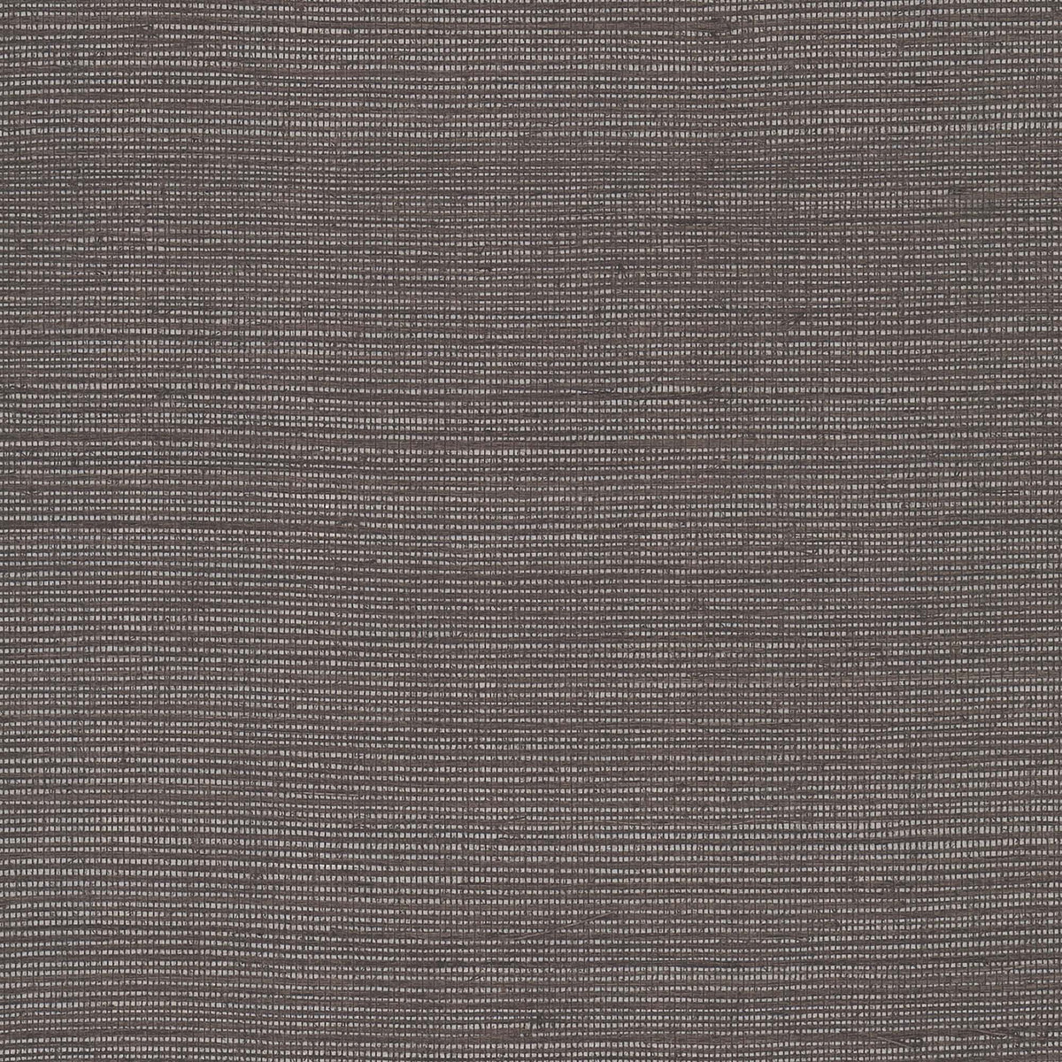 MAGUEY SISAL - Grasscloth And Naturals - Vg4418nw