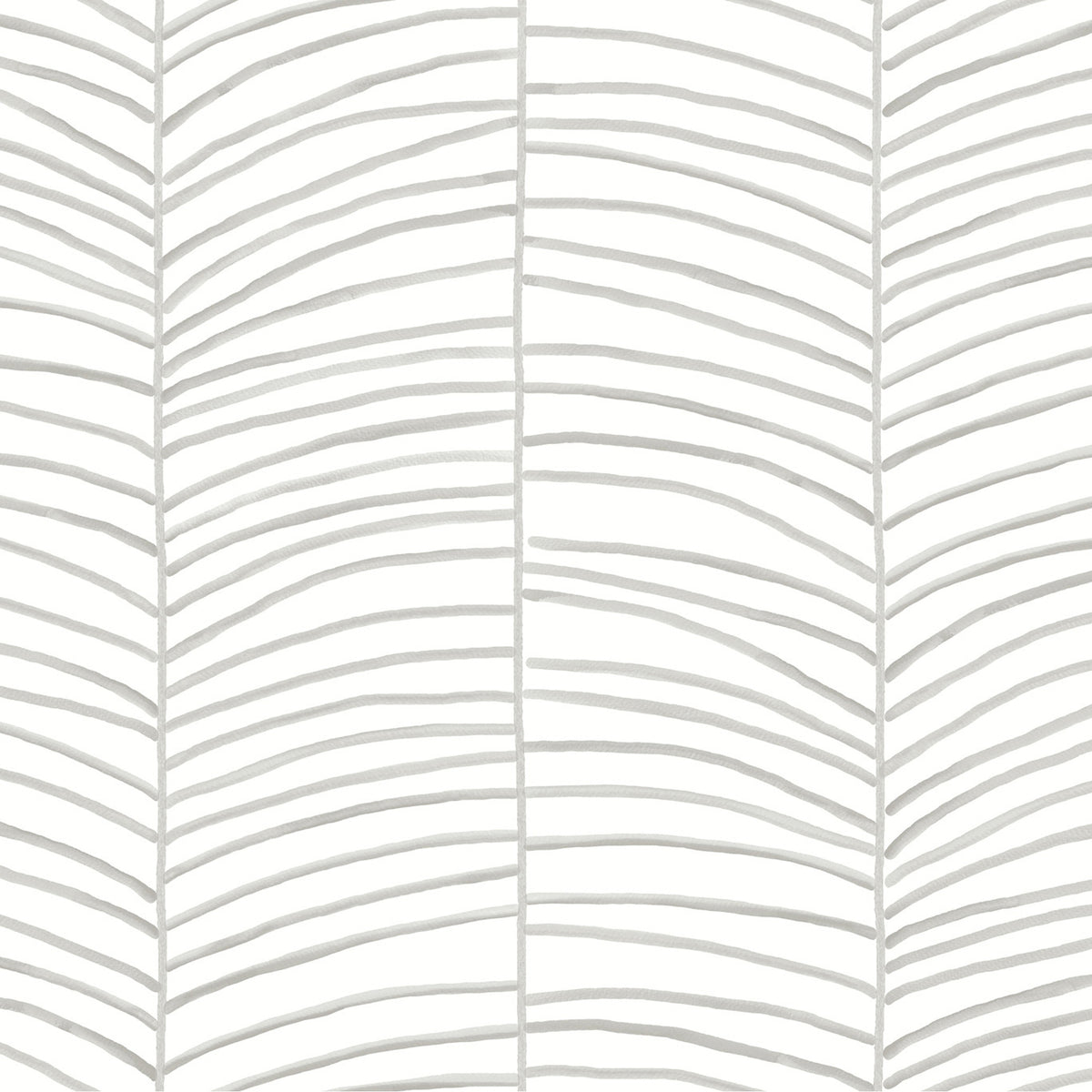 CASCADE PALM CHEVRON - Monticeto - Mt5671