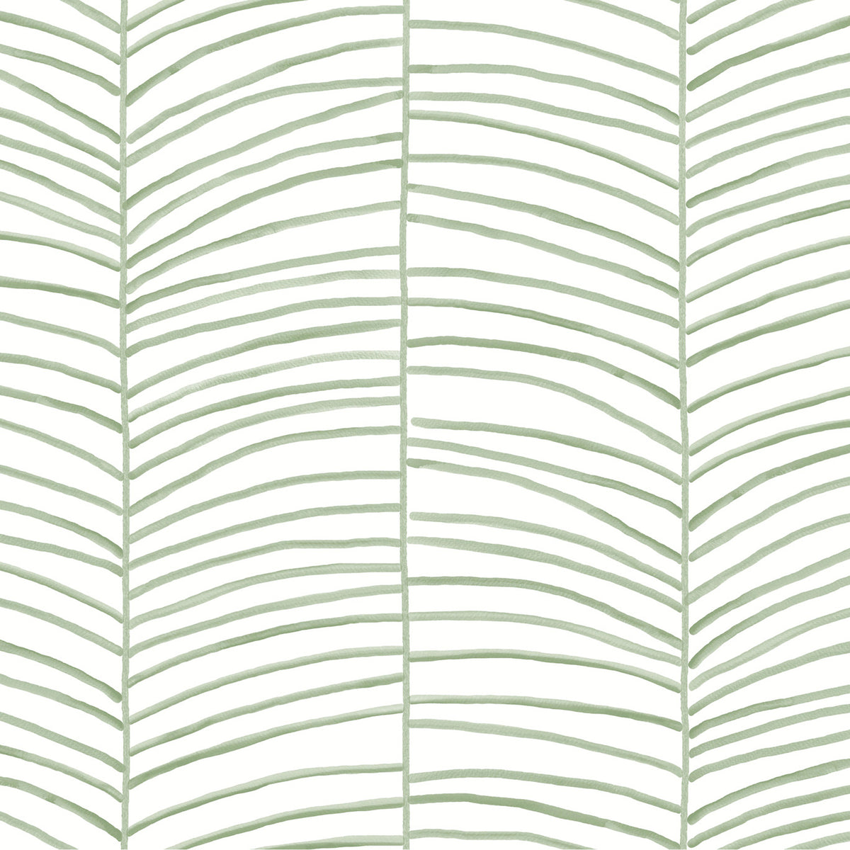 CASCADE PALM CHEVRON - Monticeto - Mt5674