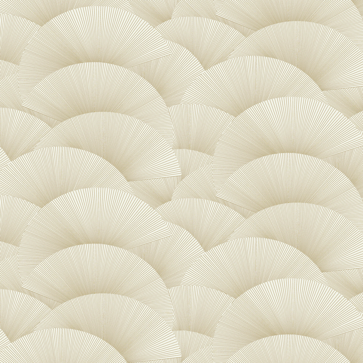 MORNING SHELL - Ronald Redding Tea Garden - Za8021