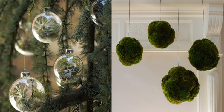 /></p> <p> </p> <p><img src=