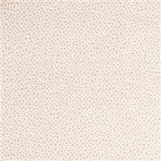 Cheetah - Outdoor Taupe