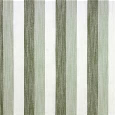Seger Stripe (Ri) - Agave