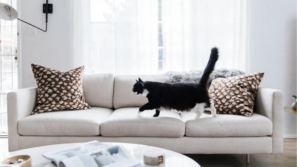 Live happily with your pets without compromising style.