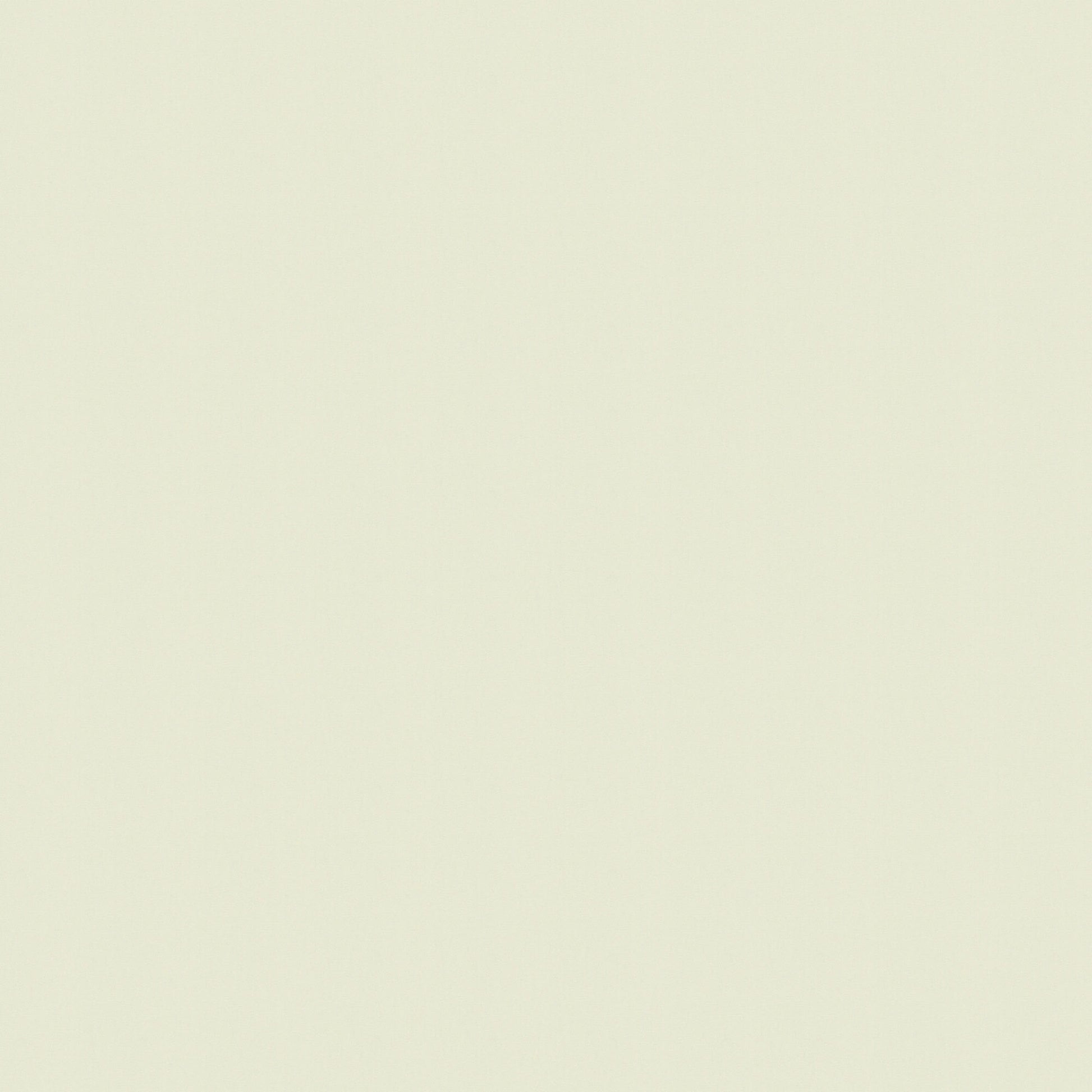 Canvas - Sunbrella Outdoor - Natural