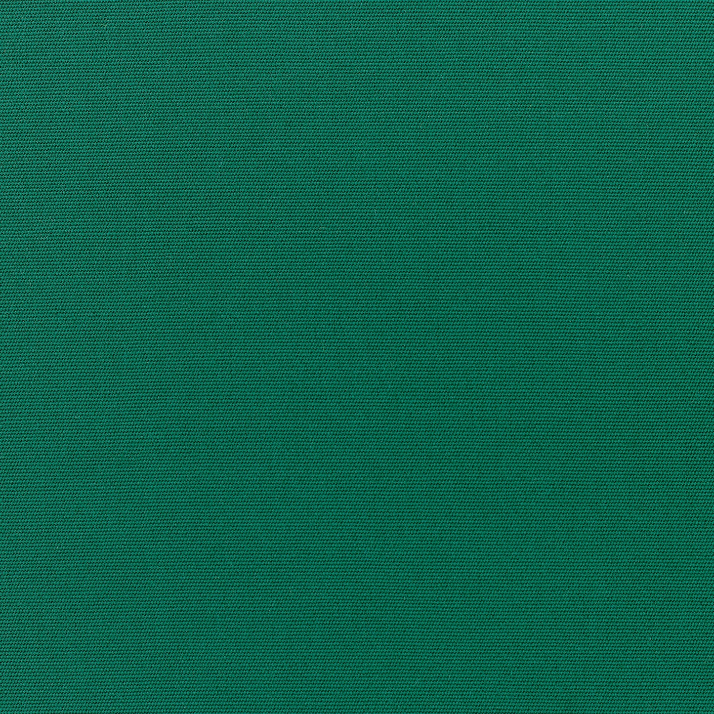 Canvas - Sunbrella Outdoor - Forest Green