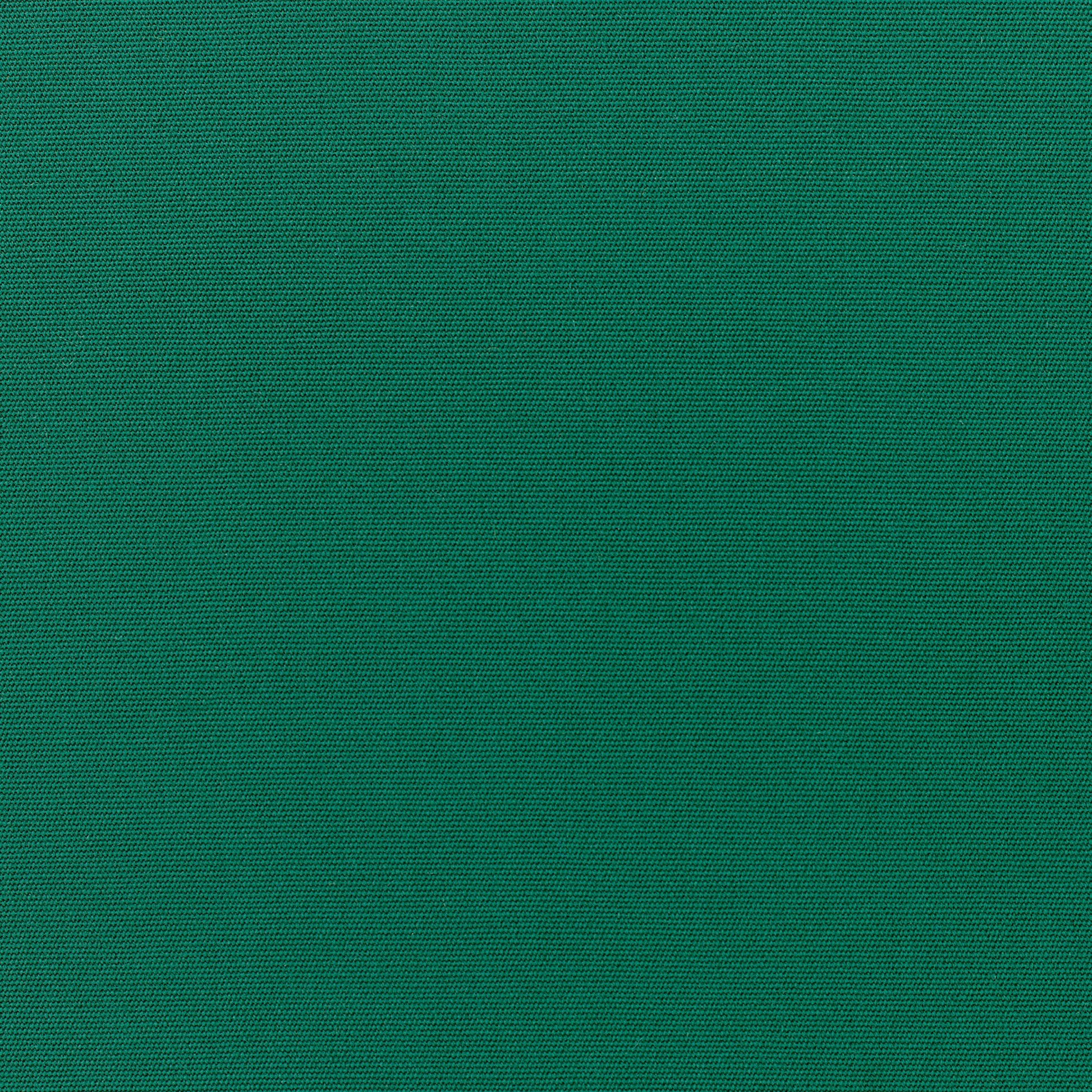 Canvas - Sunbrella Outdoor - Forest Green