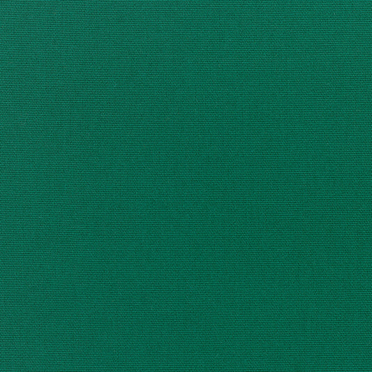 Canvas - Sunbrella Outdoor - Forest Green