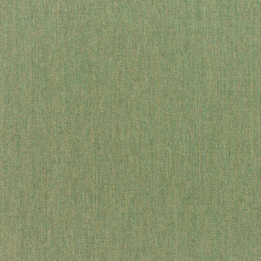 Canvas - Sunbrella Outdoor - Fern