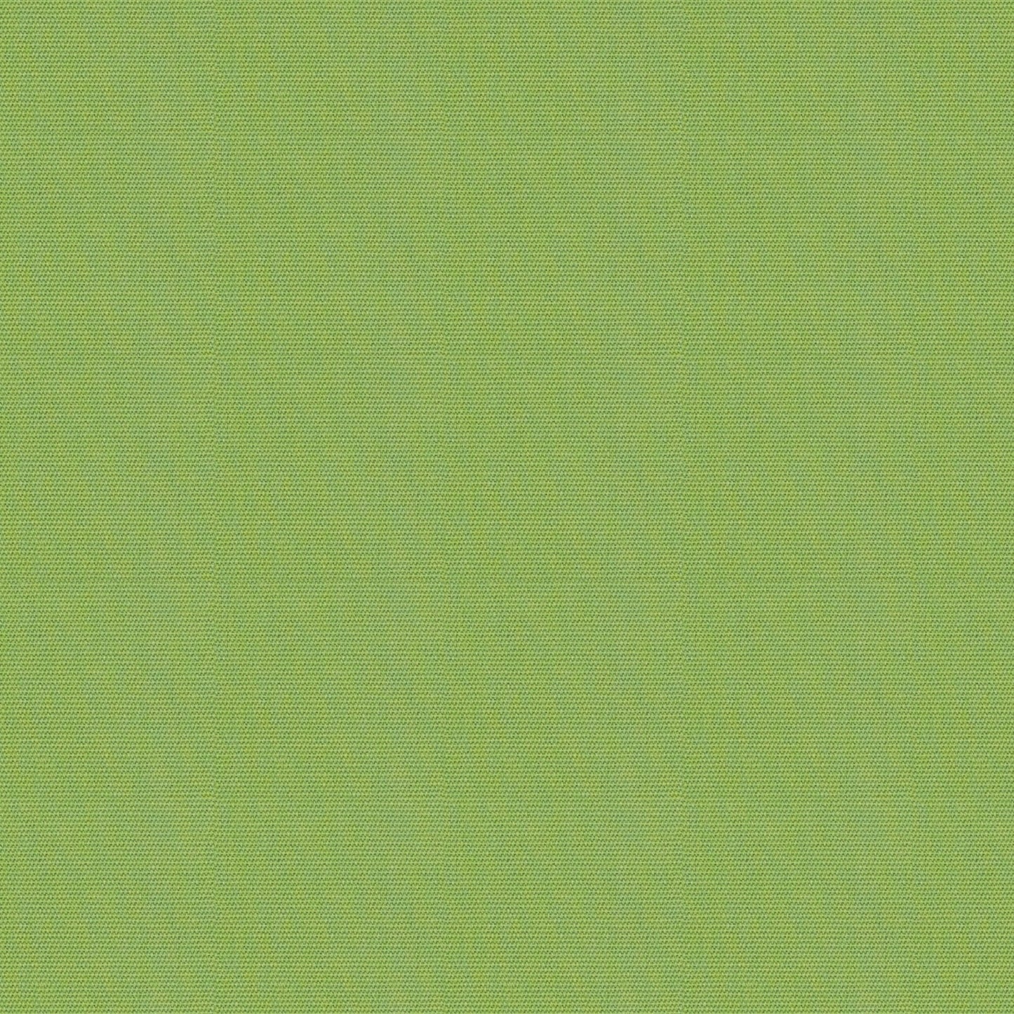 Canvas - Sunbrella Outdoor - Ginkgo