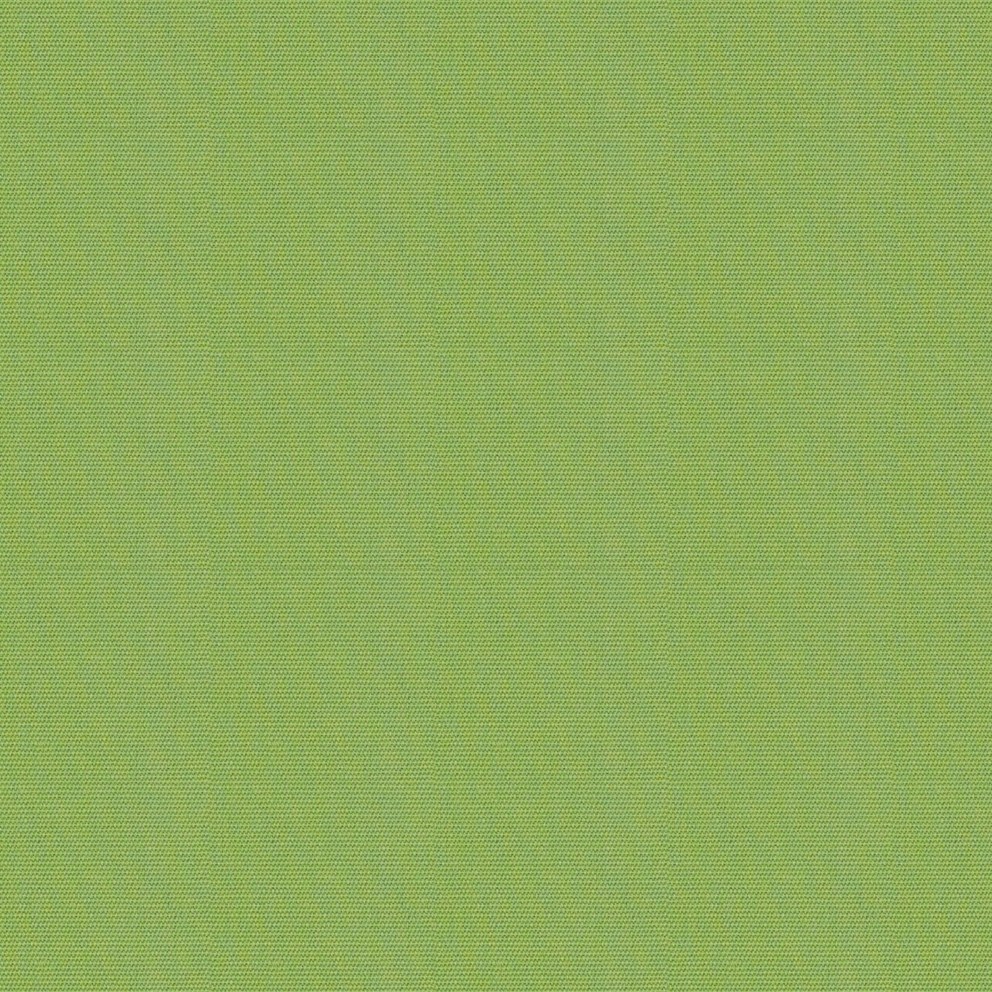 Canvas - Sunbrella Outdoor - Ginkgo