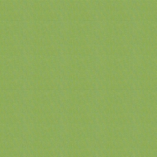 Canvas - Sunbrella Outdoor - Ginkgo