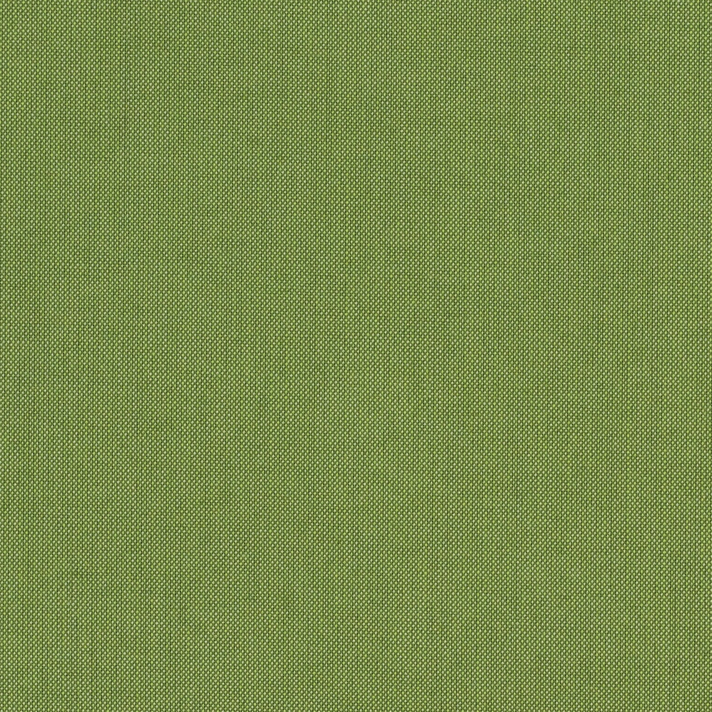 Spectrum - Sunbrella Outdoor - Cilantro