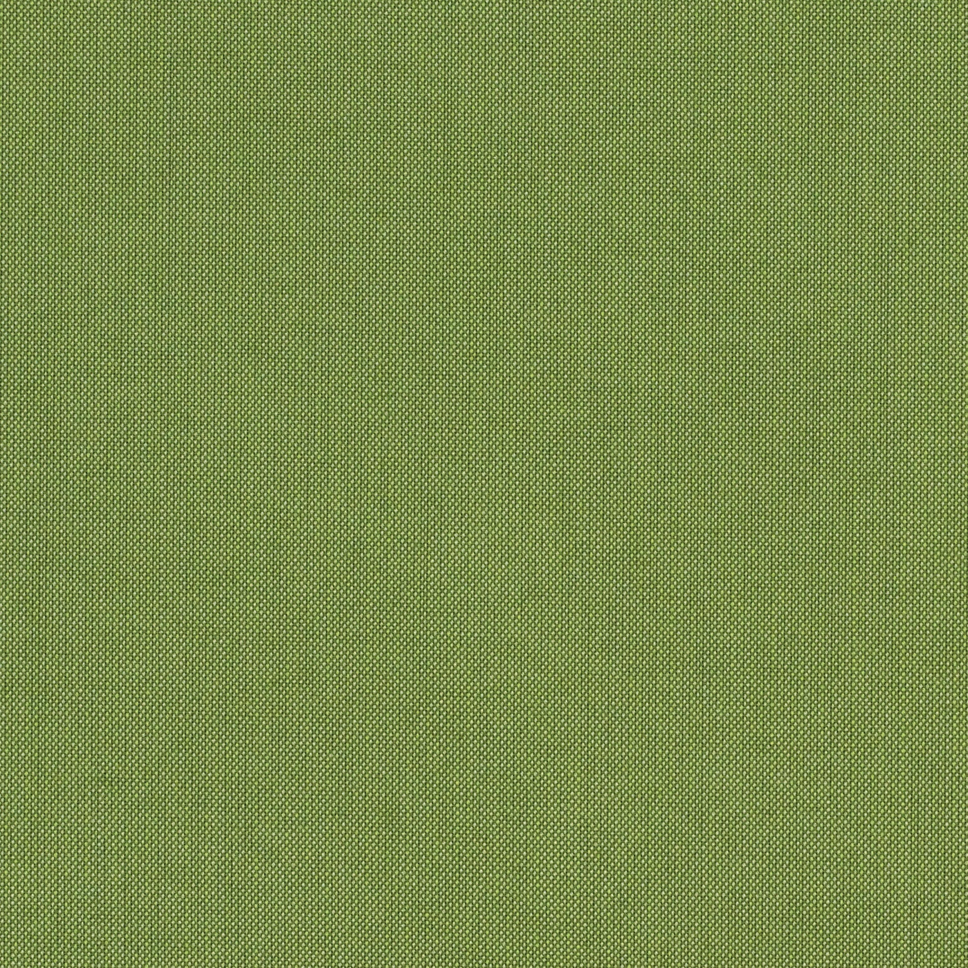 Spectrum - Sunbrella Outdoor - Cilantro