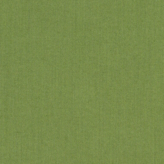 Spectrum - Sunbrella Outdoor - Cilantro