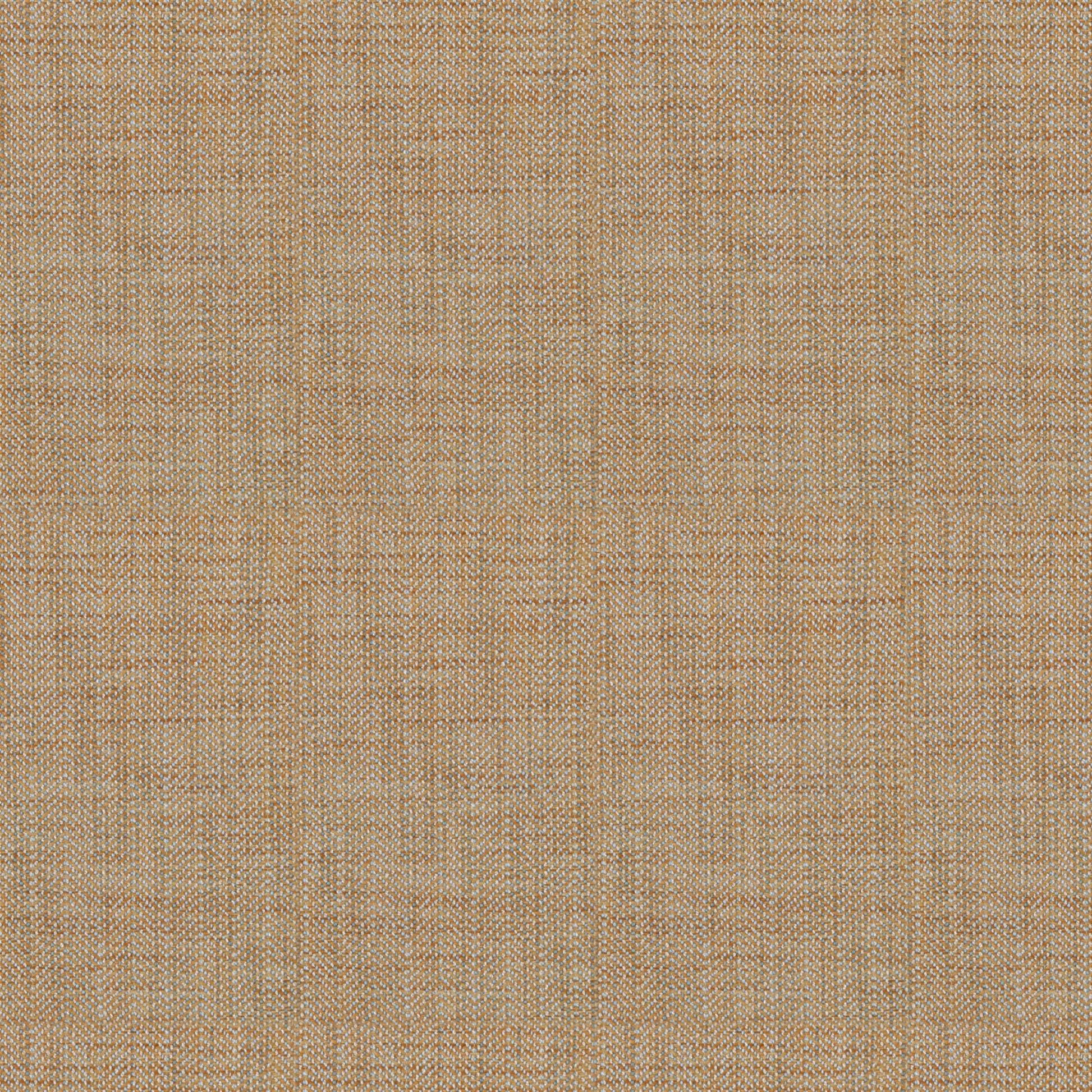 Trousseau Flicker