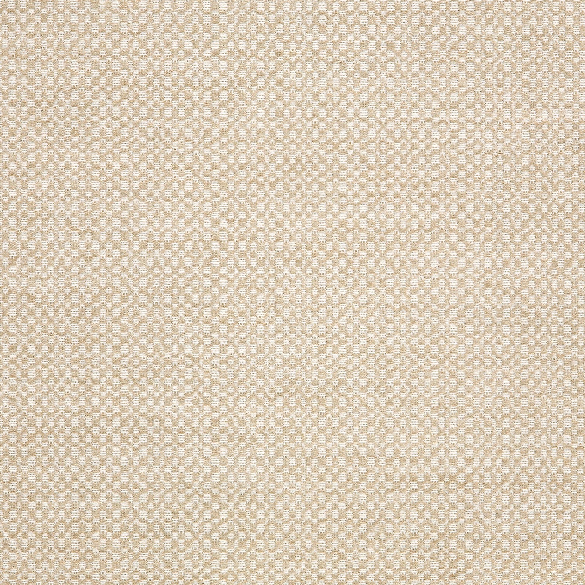 Action - Sunbrella Outdoor - Linen