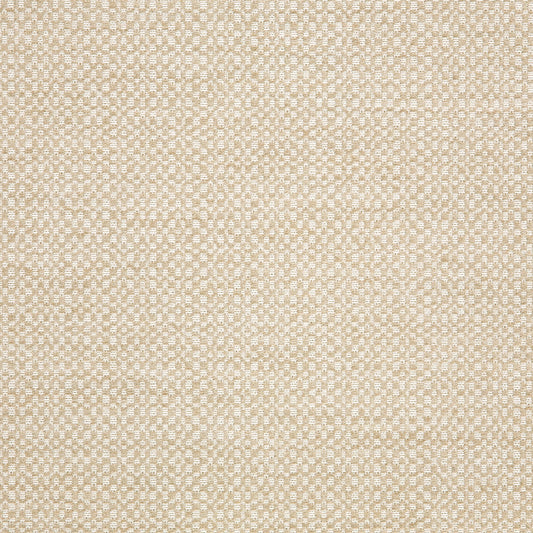 Action - Sunbrella Outdoor - Linen