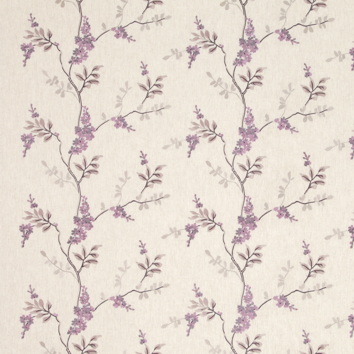 Brookdale Lilac